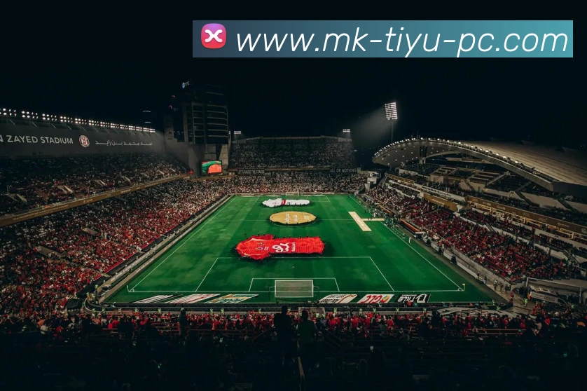 多媒体互动体验